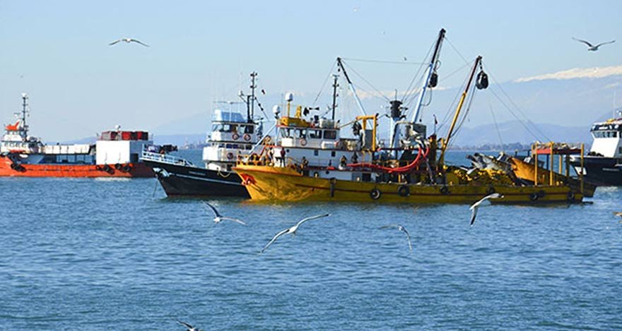 Türk balıkçılara kötü haber!