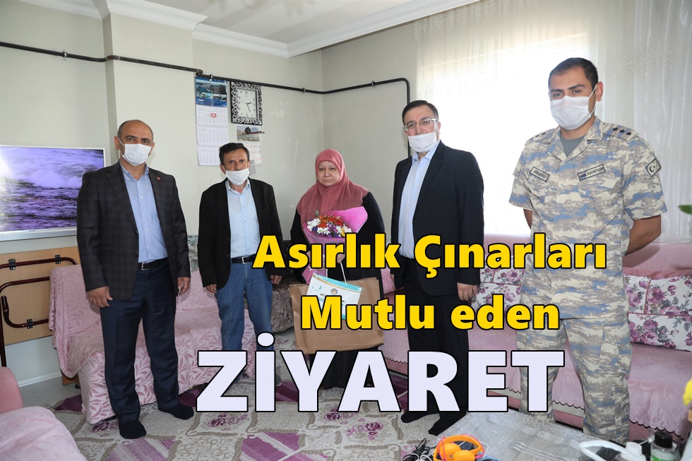 Asırlık çınarlara sürpriz ziyaret