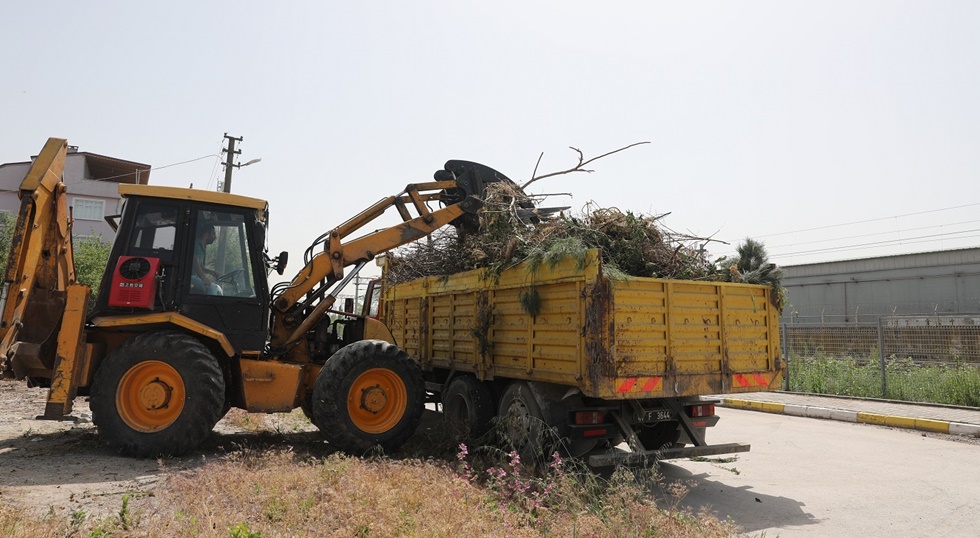 975 ton atık doğaya geri kazandırıldı