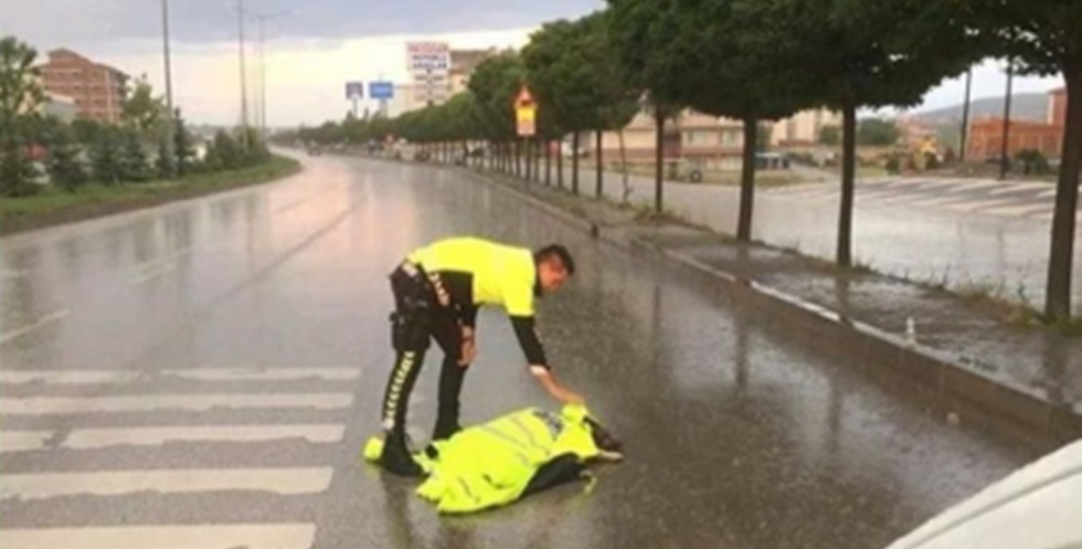 Otomobilin Çarptığı Yaralı Köpeğe Polis Şefkati