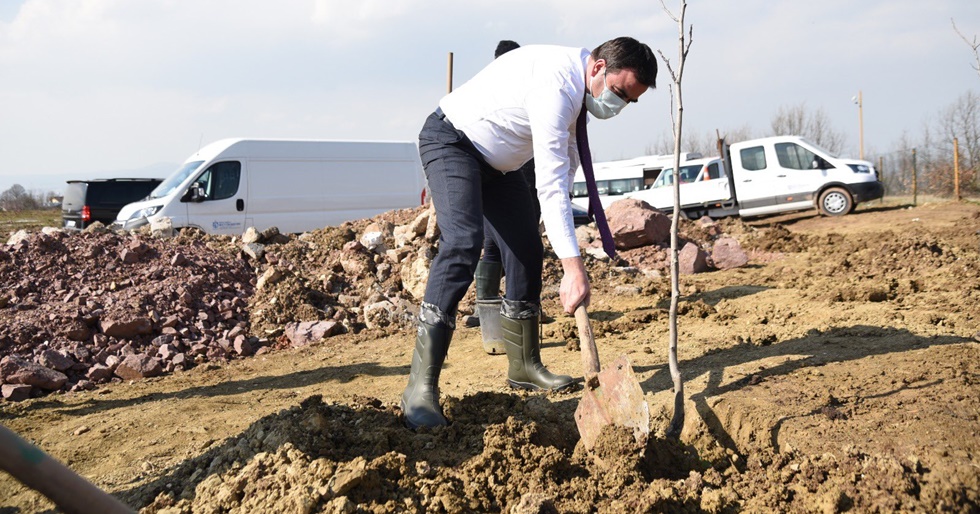 Mavi Yeşil Başiskele Meyve Ağaçlarıyla Yeşilleniyor