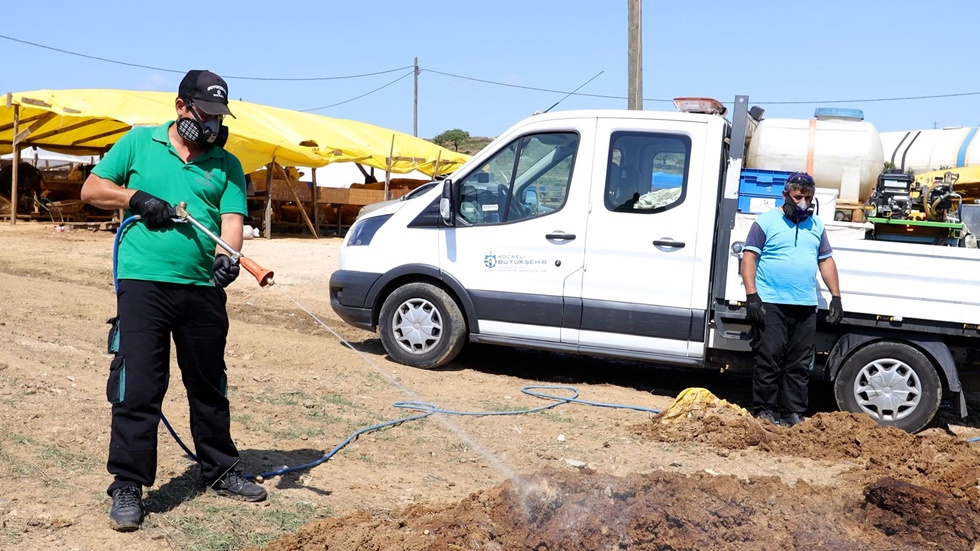 Kurban pazar yerleri ilaçlanıyor