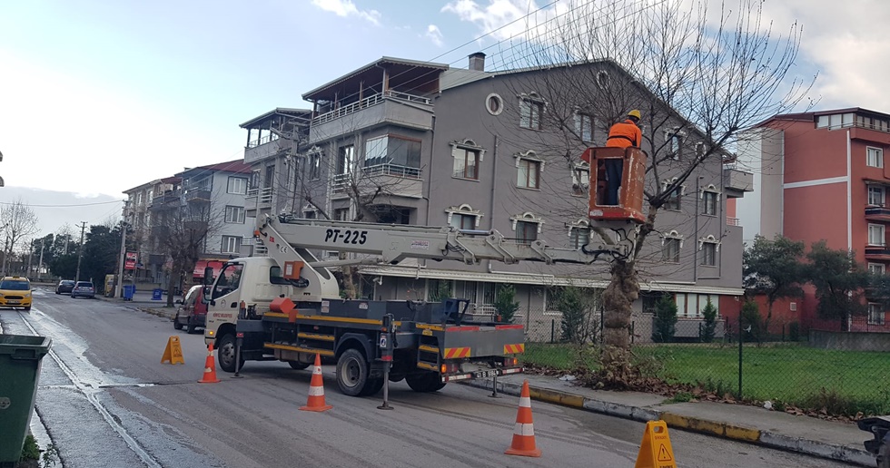 Körfez’de ağaçlara kış bakımı yapılıyor