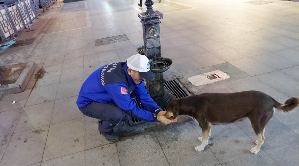 Elleriyle köpeğe su içirdi, gönülleri fethetti