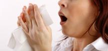 Beslenmenin alerji üzerine etkisi nedir?