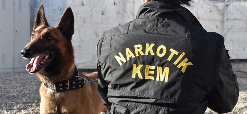 Hakkari’de Narkotik Detektör Köpekler Polisin En Büyük Destekçisi Oldu