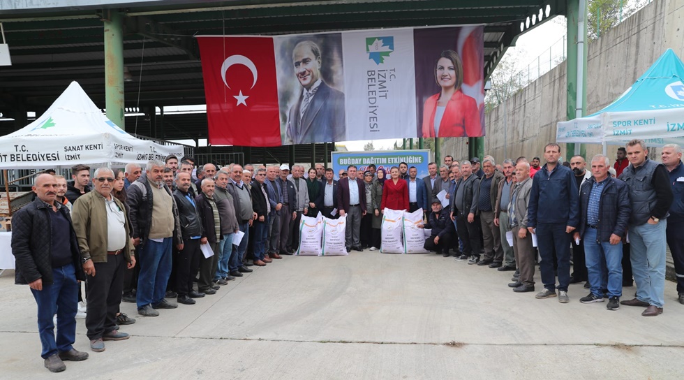 İzmit Belediyesi, çiftçiye 83 ton  Nusrat cinsi buğday tohumu dağıttı