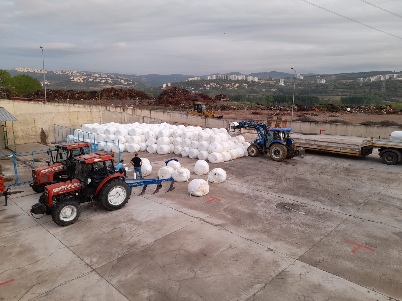 İzmit Belediyesi, yüzde 100 hibeli silaj başvurularını uzattı