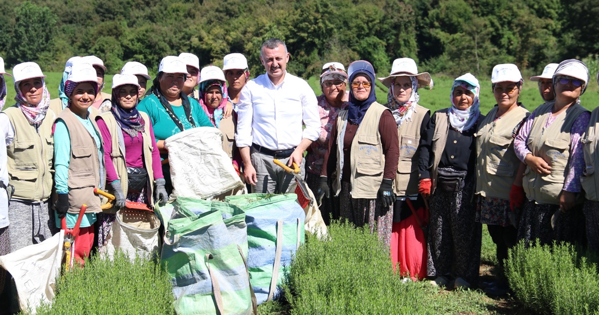 Büyükşehir’den kooperatiflere yüzde 75 hibeli tarım desteği