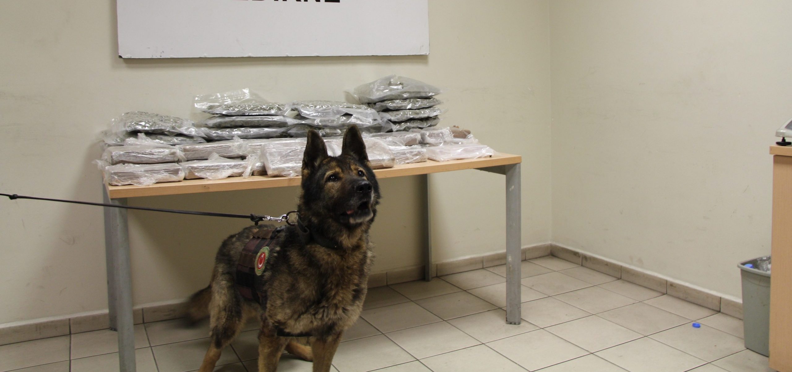 33 Kilogram Uyuşturucu Ele Geçirildi: Kaçakçılık Operasyonuyla İlgili Soruşturma Başlatıldı!