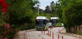 Mavi Bayraklı Sahillere Ulaşım 20 Haziran’da Başlıyor