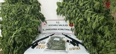 Kartepe’de Uyuşturucu Operasyonu: 119 Kök Kenevir ve Esrar Ele Geçirildi