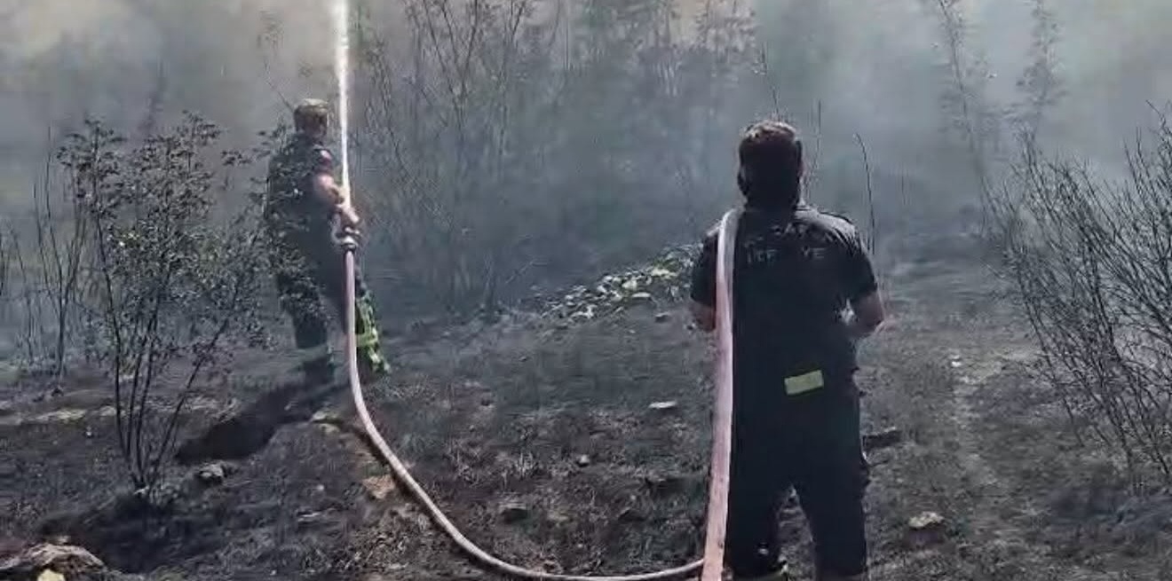 Dilovası’nda Otluk Alan Yangını Kısa Sürede Söndürüldü